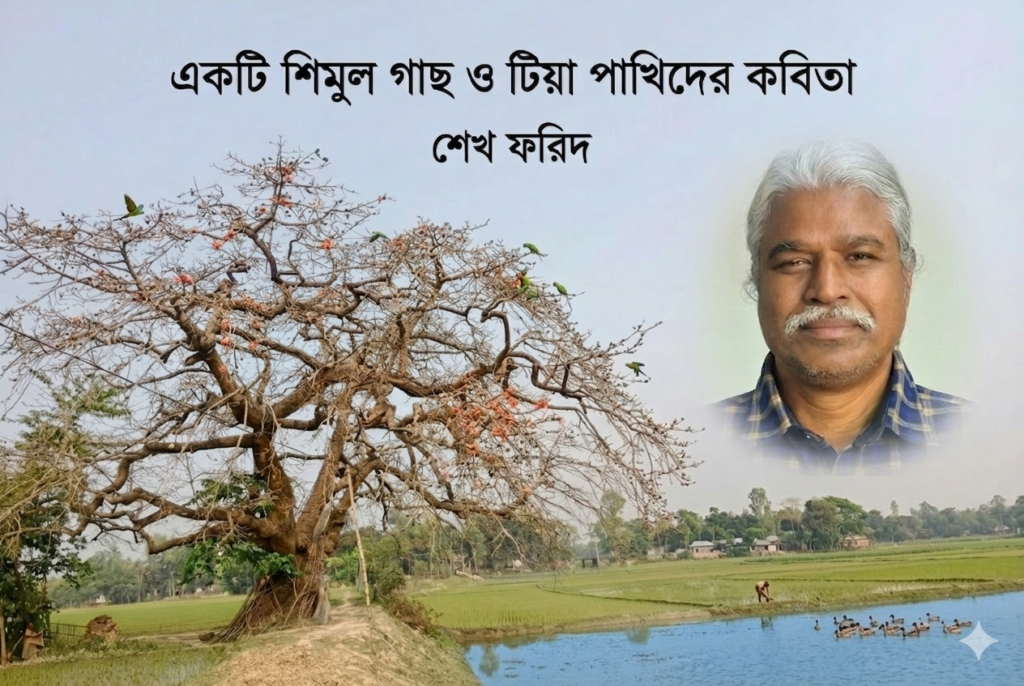 একটি শিমুল গাছ ও টিয়া পাখিদের কবিতা